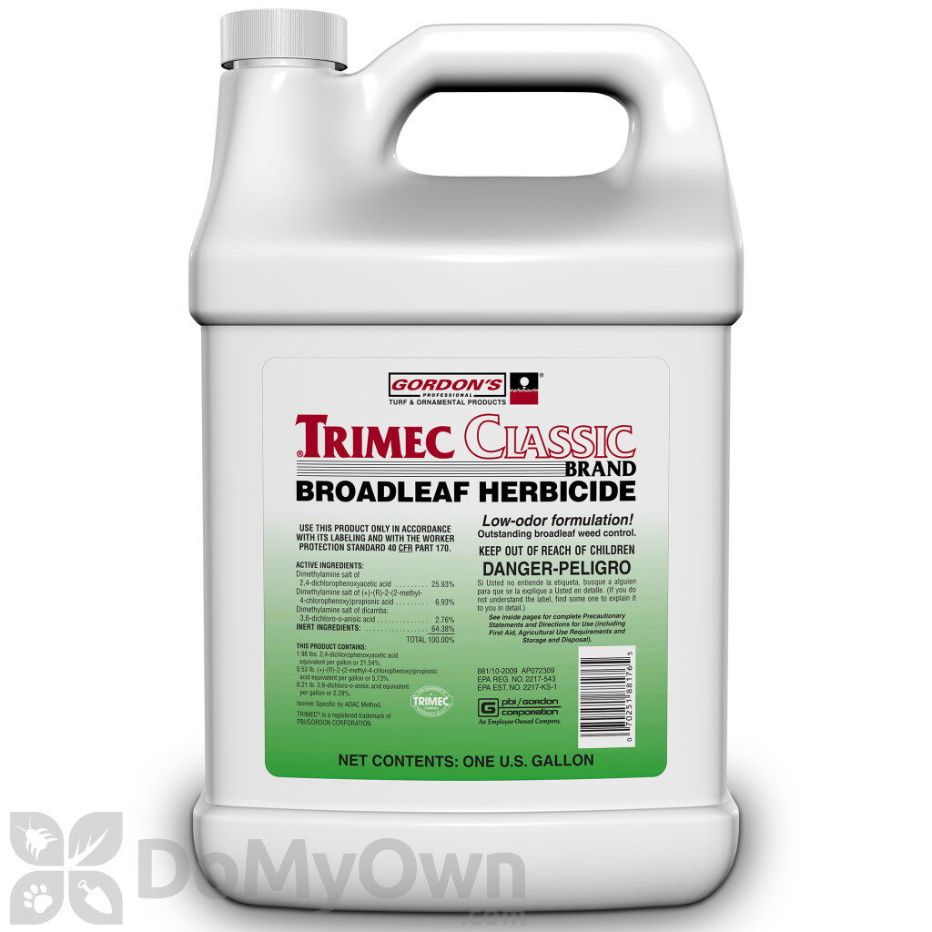 best weed control for centipede grass