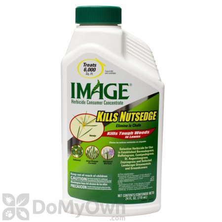 How to Control Bahia Grass - Lawn and Petal