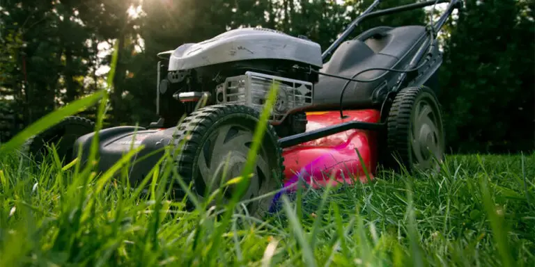 should you bag grass clippings should you bag grass clippings