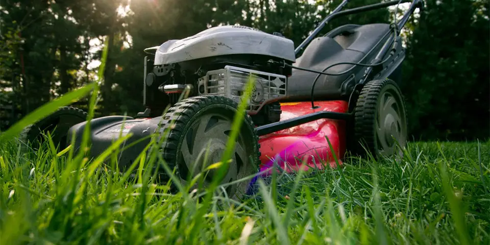should you bag grass clippings