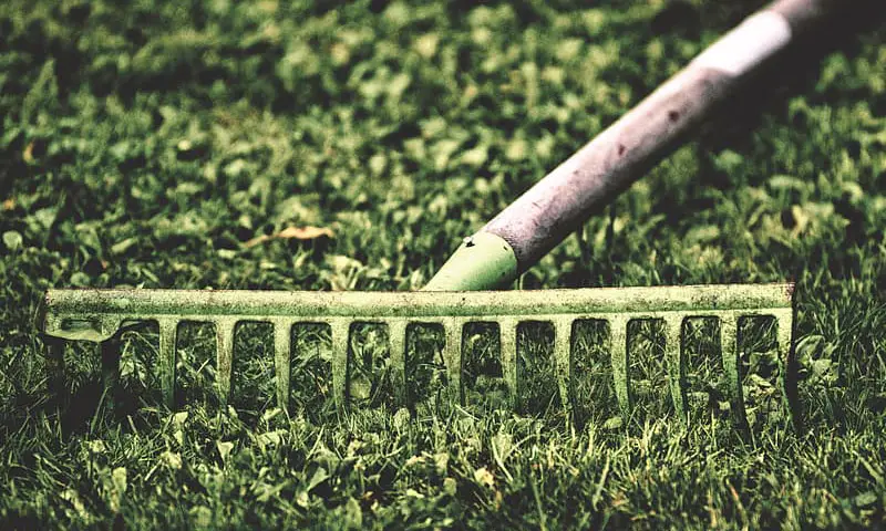 green grass and a green rake