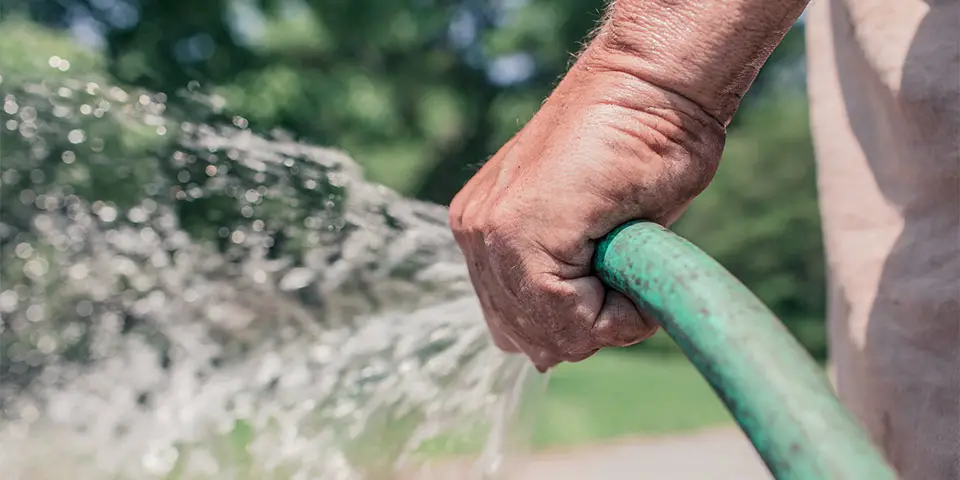 watering yard with garden hose