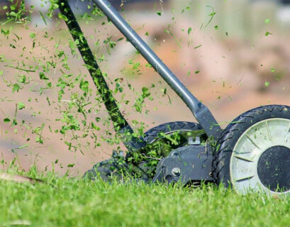 grass clippings flying up from rotary lawn mower