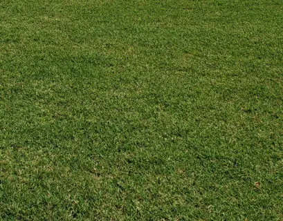 Bermuda Lawn