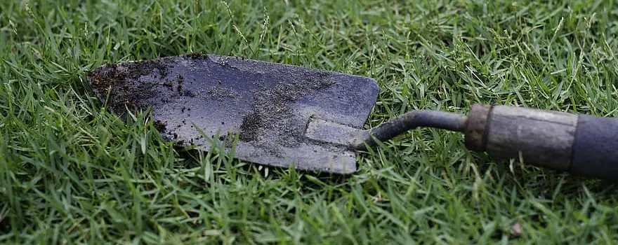 scooping soil with a trowel