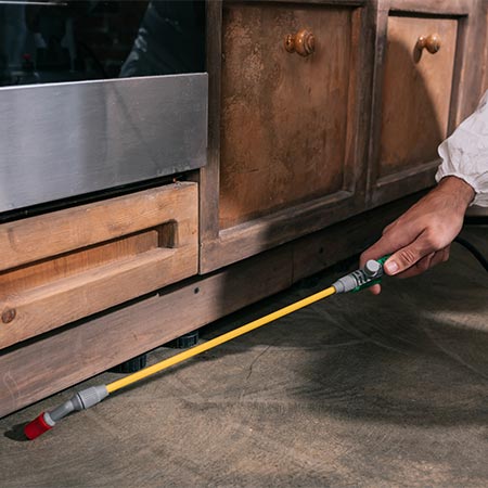 Exterminator holding spraying wand
