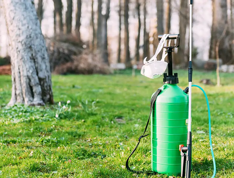 Trimec Weed Killer Lawn And Petal