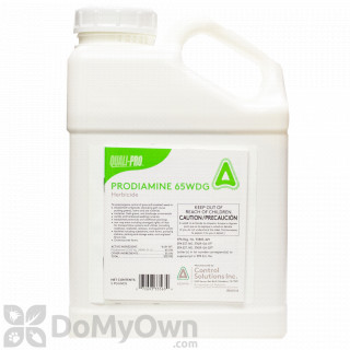 Best Weed Killer For Bermuda Grass Lawn And Petal