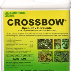 crossbow herbicide rain